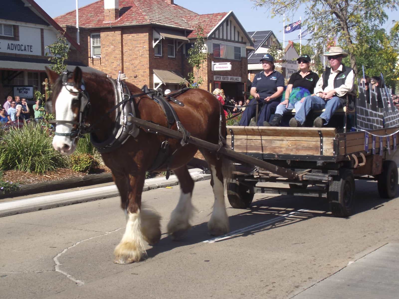 How much weight can a Clydesdale carry
