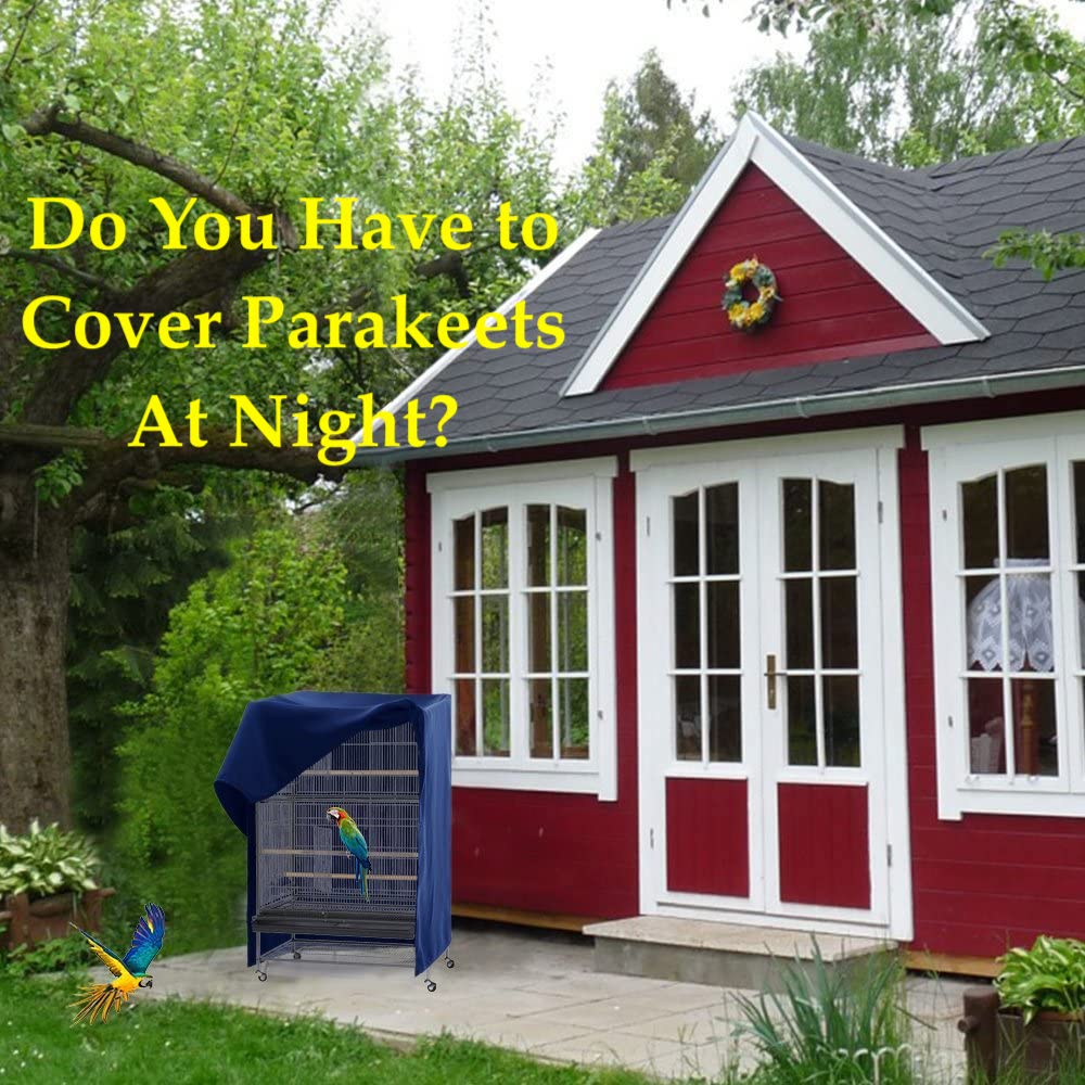 Do you have to cover parakeet cage at night?