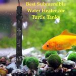 Best turtle tank heater