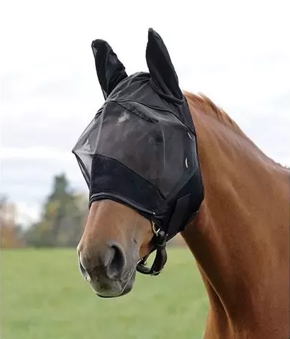 Why do Horses wear Masks when Racing